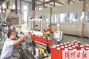 破局而立 新材料技術研發填補國內空白，引領產業新篇章